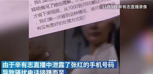 辛巴母亲爆料视频播放下载,揭秘背后真相